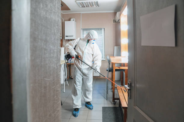 Best Mold Remediation for Healthcare Facilities  in Black River, NY