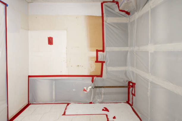 Mold Remediation for Vacation Homes