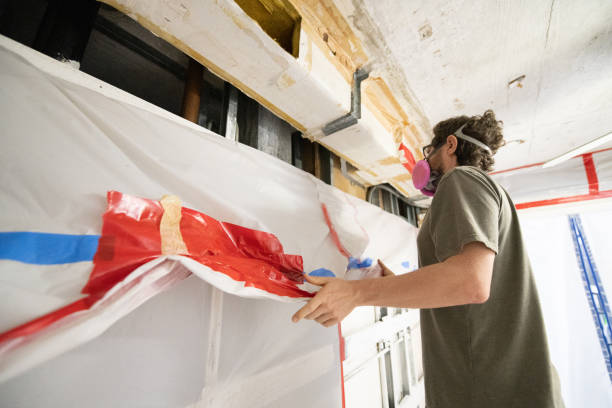 Best Attic Mold Removal  in Black River, NY